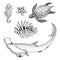 Sea creature or Fishes cheloniidae or green turtle and seahorse. red lionfish and great hammerhead shark. engraved hand