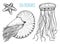 Sea creature nautilus pompilius, jellyfish and starfish. shellfish or mollusk or clam. engraved hand drawn in old sketch