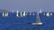 Sea crowded with sailboats
