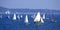 Sea crowded with sailboats