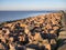 Sea defences, Kent.