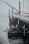 Sea dogs laying on the pier in Santa Cruz USA