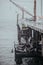 Sea dogs laying on the pier in Santa Cruz USA