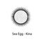 sea egg kina icon. Element of marine life for mobile concept and web apps. Thin line sea egg kina icon can be used for web and mob