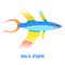 Sea Fish color vector illustration.