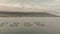 Sea fish farming in round net with floating cages in Iceland. Overhead aerial view of aquaculture salmon fishing farm enclosure