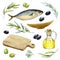 Sea fish, herbs, olives set. Watercolor illustration. Mediterranean tasty fresh food collection. Realistic food element