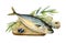 Sea fish with herbs and olives. Watercolor illustration. Mediterranean tasty food image. Food realistic element. Healthy