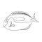 Sea fish in linear. Children drawing for coloring. Vector on white