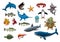 Sea fish and ocean animals cartoon vector icons