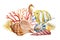 Sea fish, seahor and seashells on an isolated white background. Watercolor illustration, Marine design, postcards.