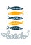 Sea fish simple styling print. Two color. Quote lettering with sea rope. Print for kids t-shirt and sea style souvenirs
