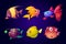 Sea fish, tropical colorful aquarium creatures set