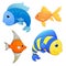 Sea fishes set. Vector fish. Cartoon cute character. Cartoon fish. Hand draw illustration. Fish isolated. Animals set. Cute fish.