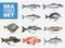 Sea Fishes Transparent Set