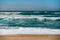 Sea and flock of plover birds