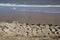 Sea flood defence barrier. Concrete blocks protecting against er