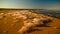 Sea foam at the beach of the Aral Sea near Aktumsuk cape at sunset, Karakalpakstan, Uzbekistan