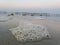 Sea Foam forming on the St. Augustine Beach in Florida