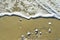 Sea foam and white pebbles of different sizes on the wet sand on