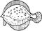 Sea food fish shellfish crabs delicacies. Graphic illustration hand-drawn