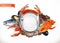 Sea food logo. Fish, crab, crayfish, mussels and octopus 3d vector icon