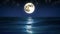 Sea and Full Moon. Night Sky with Flashing Stars. Beautiful Relaxing Looped Animation. HD 1080