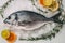 Sea gilt-head bream fish on ice with rosemary, lemon, orange and lime.