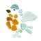 Sea glass peices on white