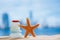 Sea glass and starfish with ocean , beach and cityscape