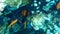 Sea goldie or orange basslet, lyretail coralfish, lyretail anthias Pseudanthias squamipinnis female undersea