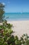 Sea Grape and Sailboat at Long Island, Bahamas