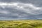 Sea of grass, the meadows and dunes of Inch Beach, scenic section of Wild Atlantic Way