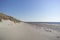 Sea grass sways in the Baltic Beach ocean breeze