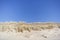 Sea grass sways in the Baltic Beach ocean breeze