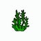 Sea green vector algae in doodle style. Simple illustration, icon.