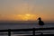 Sea gull on the beach at sunset