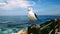 Sea gull bird perched on wood fence post looking over rock cliffs and crashing waves in blue ocean.