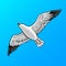 Sea gull bird pop art style vector illustration