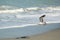 Sea gull flying near ocean water as waves come rolling in toward beach