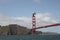 Sea gull flying over Golden Gate Bridge