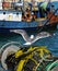 Sea gull perches on a roll of nets and ropes where it`s been harvesting bits of fish from a recent catch with rusted fishing boat