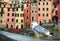 Sea Gull sitting on stone fence in Harbor of Riomaggiore with its traditional colorful buildings, Italy