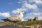 Sea Gull and St. Marys Church in Whitby, North Yorkshire