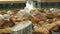 Sea gull stands in front of resting sea lions, Pier 39 San Francisco California