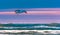 Sea Gull at Sunrise Wrightsville Beach, NC
