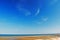 A sea gull takes flight over the beach