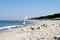 Sea gulls on beach.