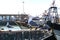 Sea gulls at the port of Essaouira, Morocco