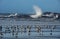 Sea gulls on the sandy beach